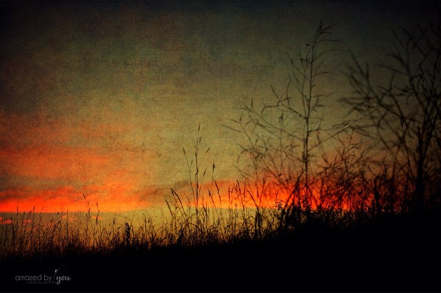 Peck Farm Sunset - Sue Braunsky - Amazed by You Photography